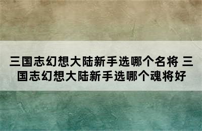 三国志幻想大陆新手选哪个名将 三国志幻想大陆新手选哪个魂将好